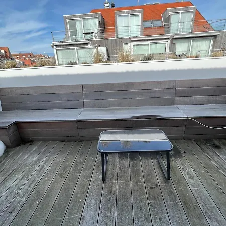 Tres Beau Penthouse Avec Terrasse - Place Διαμέρισμα *